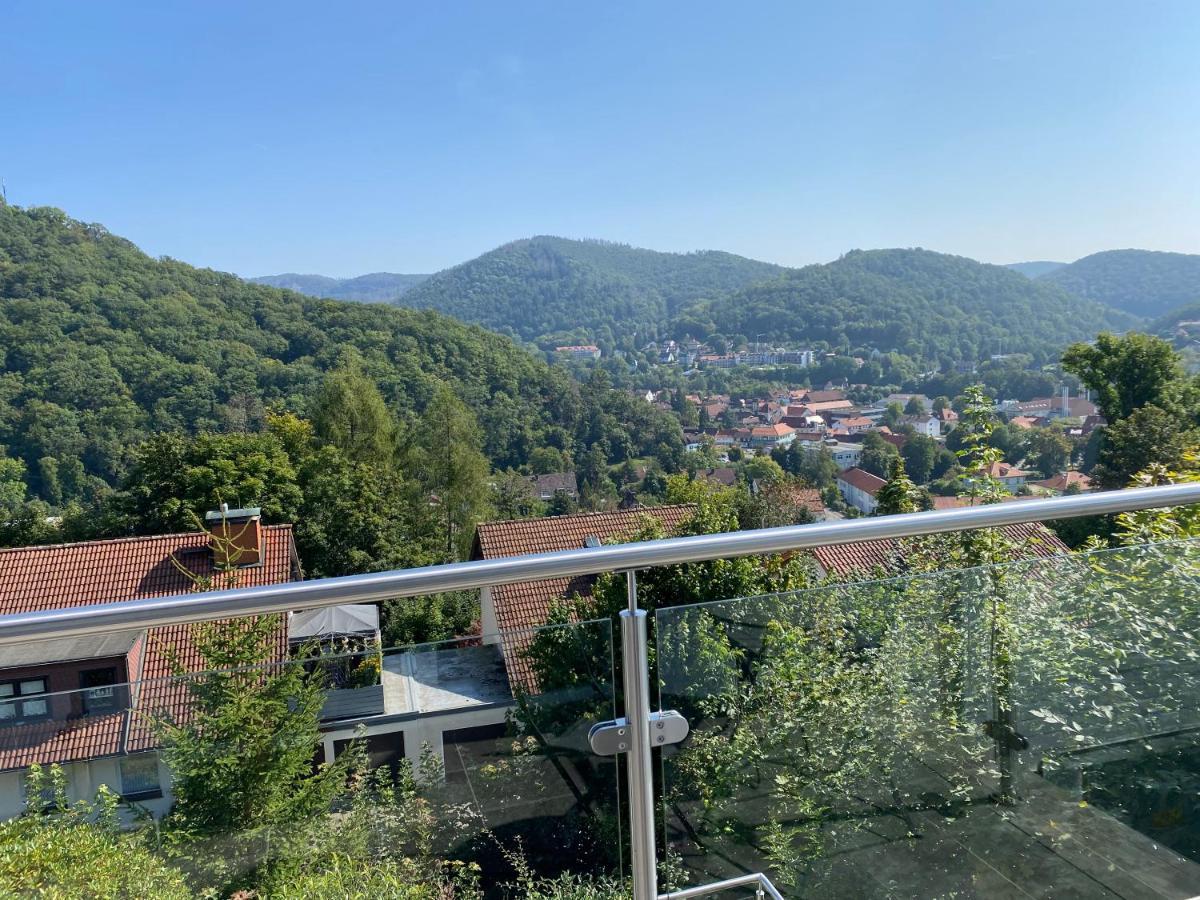 Harz Living - Ferienwohnungen Mit Traumblick Bad Lauterberg Kültér fotó
